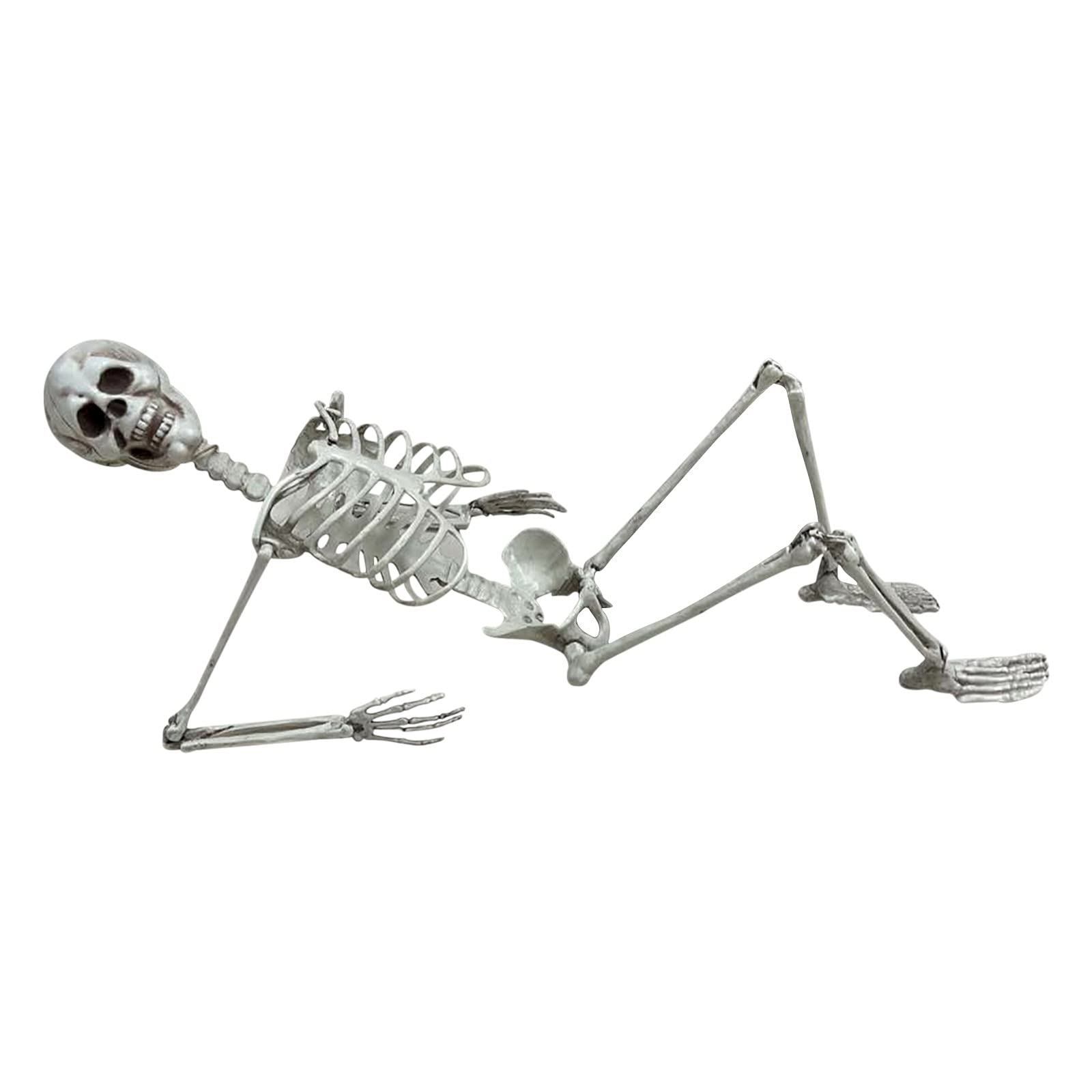 Life-Size Halloween Skeleton Prop - Full Human Body Anatomy Model with Skull & Hands - White Bone Decoration for Halloween Party, Haunted House, Medical Classroom, or Prank Scare