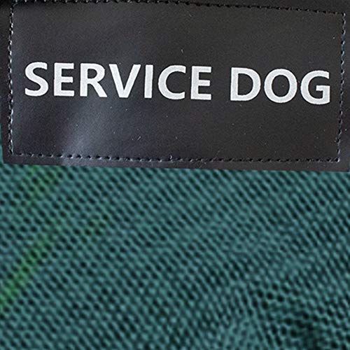 Hunter Green w/ Patch