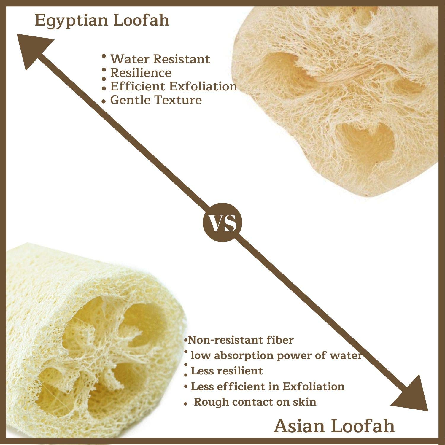 2 Pack Natural Egyptian Loofah Bath Sponge & Exfoliating Body Scrubber Mittens - Eco-Friendly Biodegradable Shower Washcloth for Face, Back & Body Care - Perfect for Daily Exfoliation & Spa-Like Skin Renewal at Home