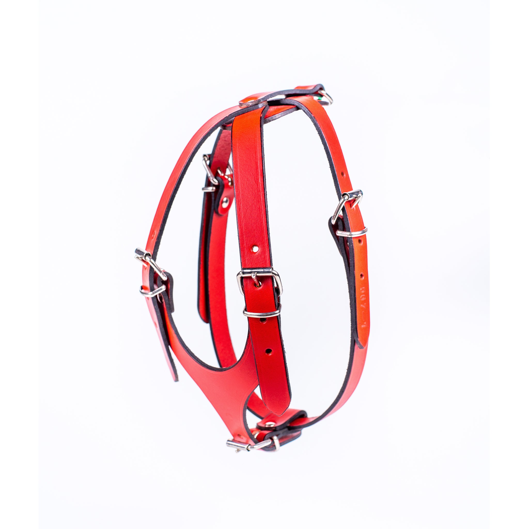 Premium European Leather Dog Harness for Small & Medium Breeds - Adjustable, Durable & Comfortable for Daily Walks, Training & Outdoor Adventures