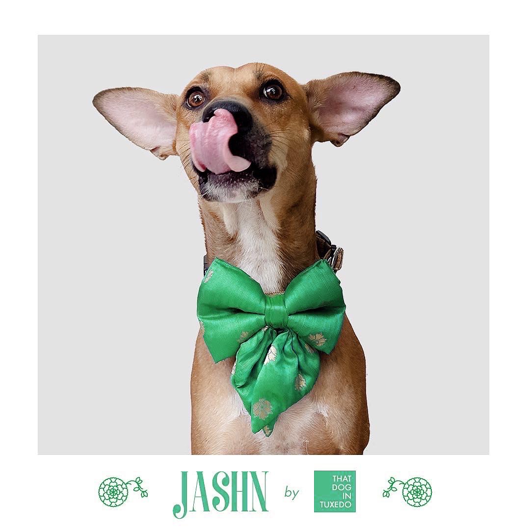 Luxury Silk Dog Bow Tie - Adjustable Tuxedo Style Bandhan Collection for Large Dogs (Green, XL) | Perfect for Weddings, Parties & Festive Occasions
