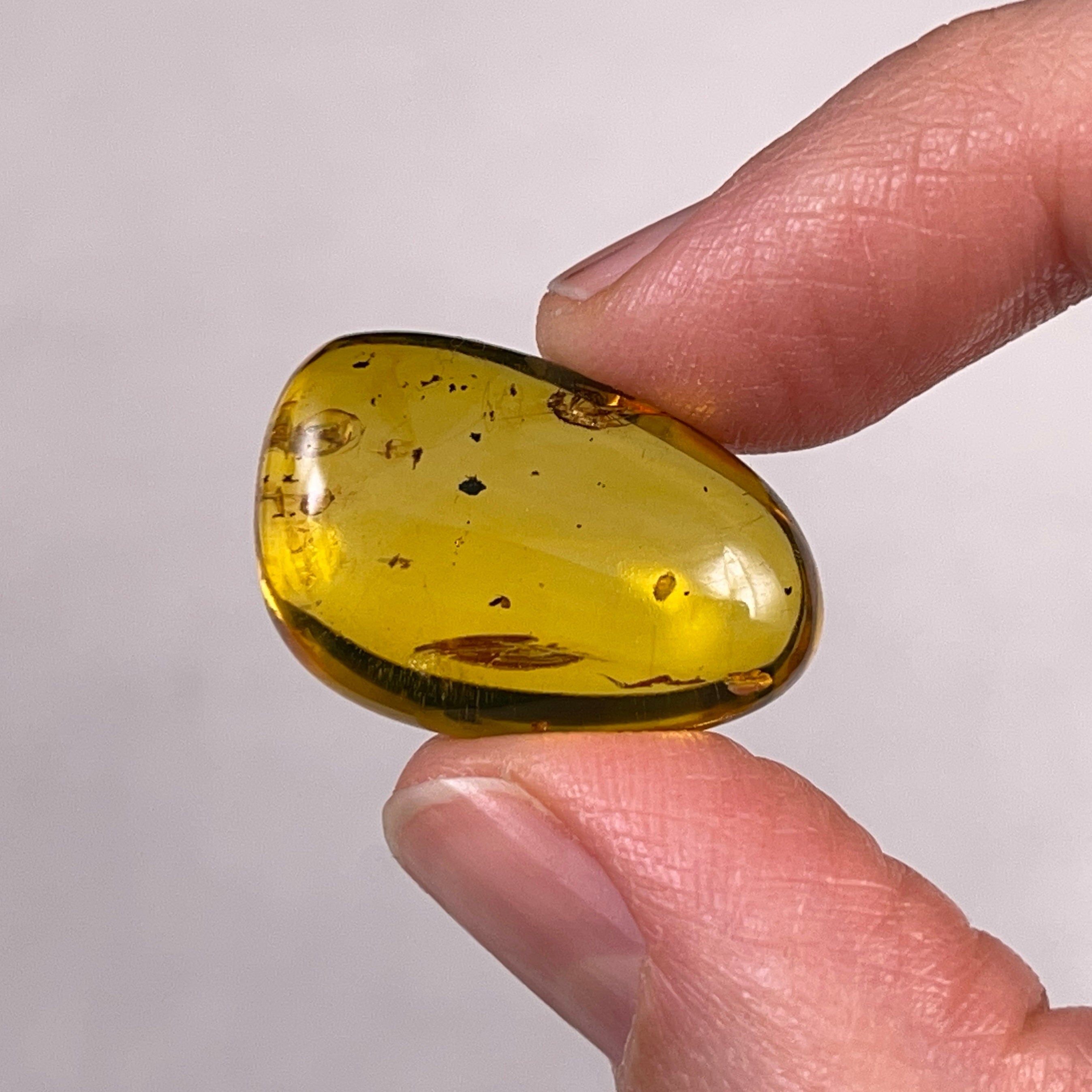 AMBER Stone with Real Insect Fossil - Natural Tumbled Crystals for Healing & Collection - Perfect for Jewelry Making, Meditation & Home Decor