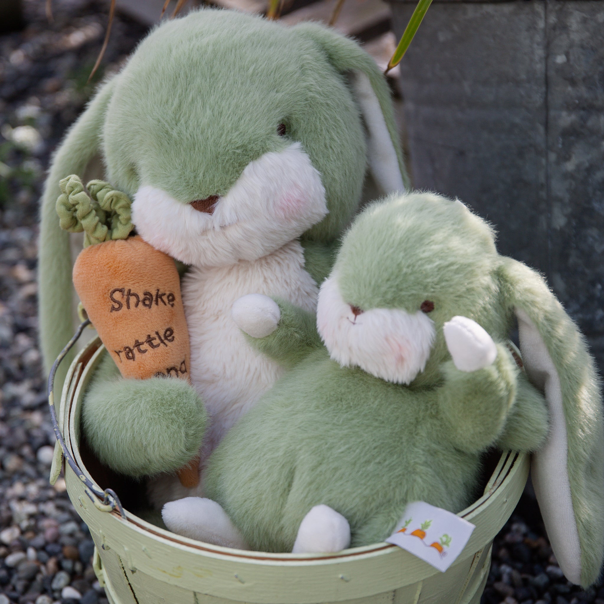 8 Nibble Bunny Pistachio Flavor - Cute Mini Rabbit-Shaped Snacks for Kids & Adults - Perfect for Parties, Gifts & On-the-Go Snacking