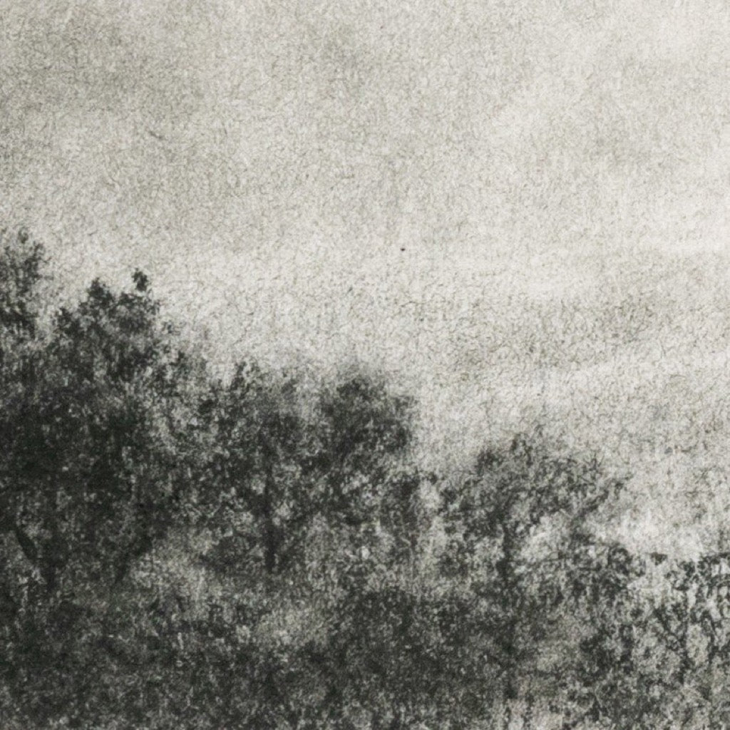 Hill Country Study I by Aileen Fitzgerald - Premium Wall Art Print for Home & Office Decor - Perfect for Living Rooms, Bedrooms & Workspaces