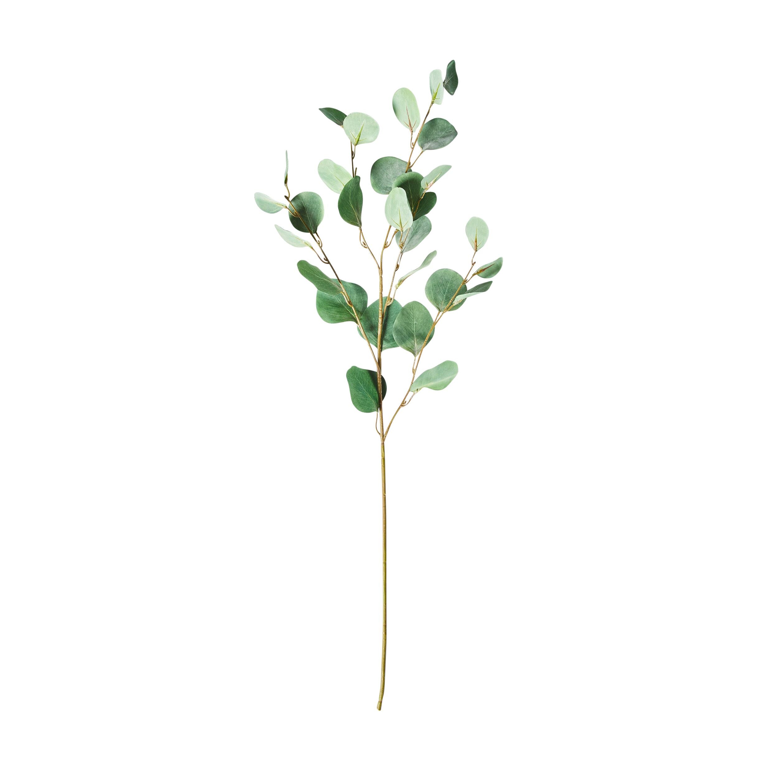 Premium Acacia Eucalyptus Garland - 90cm Natural Dried Floral Decor for Wedding, Home, and Party Decorations | Rustic Boho Chic Style