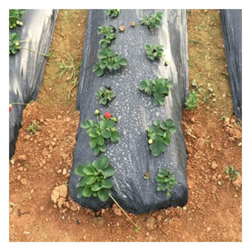 150cm Wide Thickened Black PE Agricultural Sunshade Film - Greenhouse Frost Protection, Weed Control & Plant Growth Cover | Ideal for Greenhouse Insulation, Garden Weed Barrier & Crop Protection