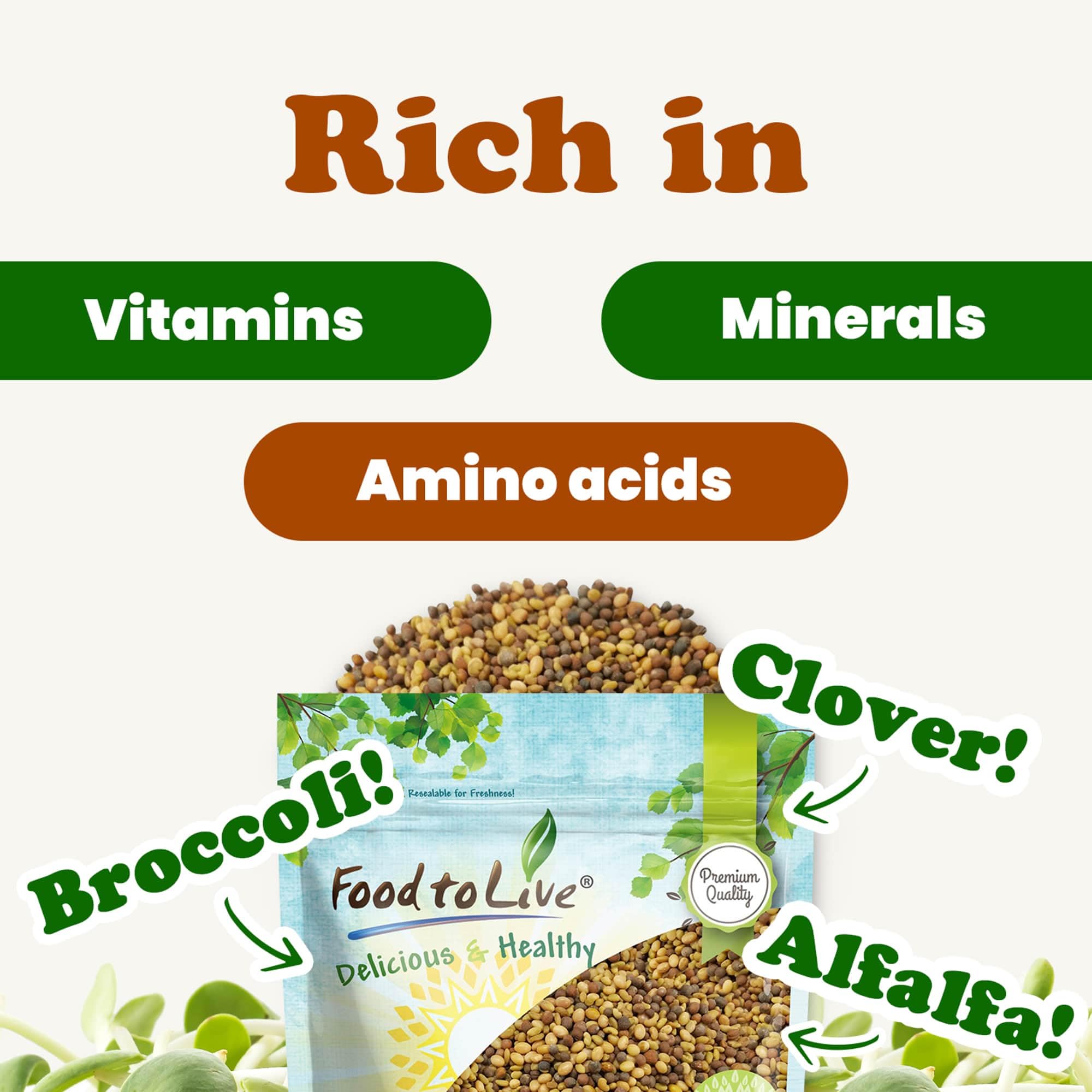 Food to Live - Organic Antioxidant Sprouting Seed Mix (Broccoli, Clover, Alfalfa) - 8oz | Raw, Vegan, Kosher Certified | Perfect for Salads, Smoothies & Healthy Snacking