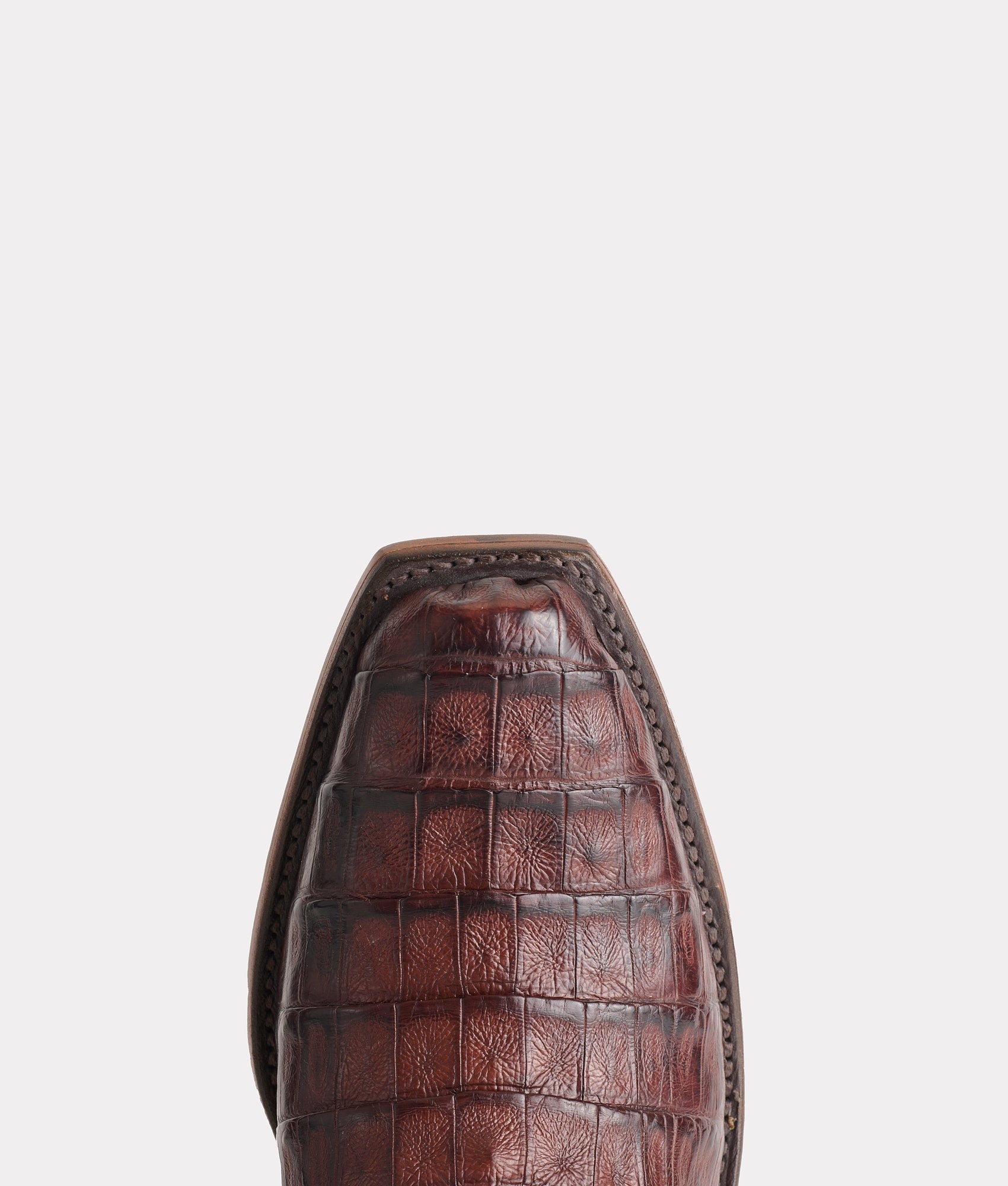 Premium Tulipano Chocolate Gifts - Delicious Belgian Chocolate for Valentine's Day, Birthdays & Special Occasions