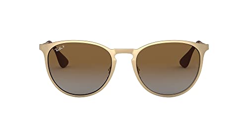 Matte Gold/Polarized Grey Gradient Brown