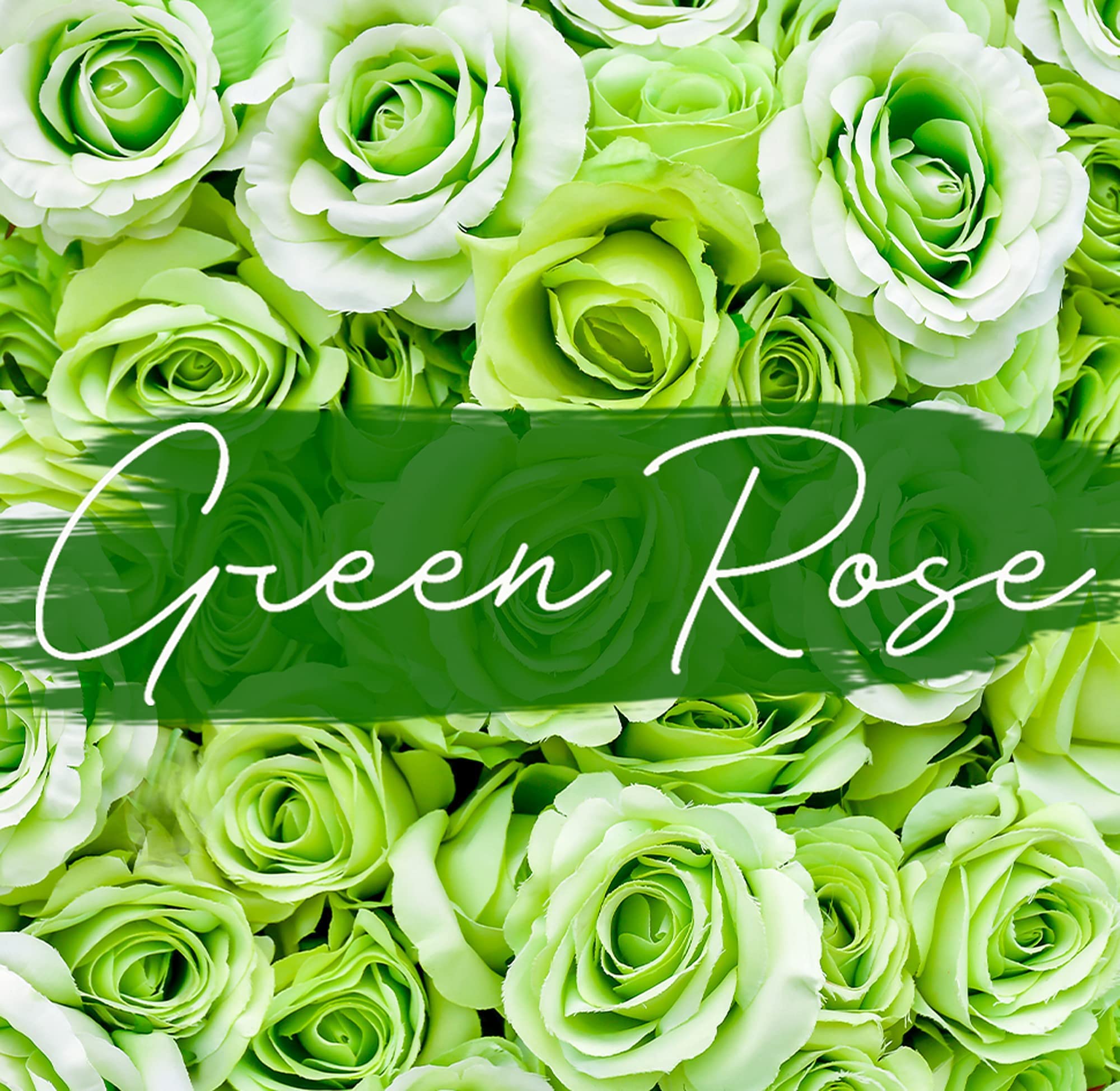 Simon & Tom Highly Scented Premium Green Rose Soy Wax Candle - 10oz, 100-Hour Burn Time, Natural Organic Aromatherapy Candle in Glass Jar with Matte Gold Gift Box - Perfect for Home, Office, Spa, Meditation & Romantic Gifts