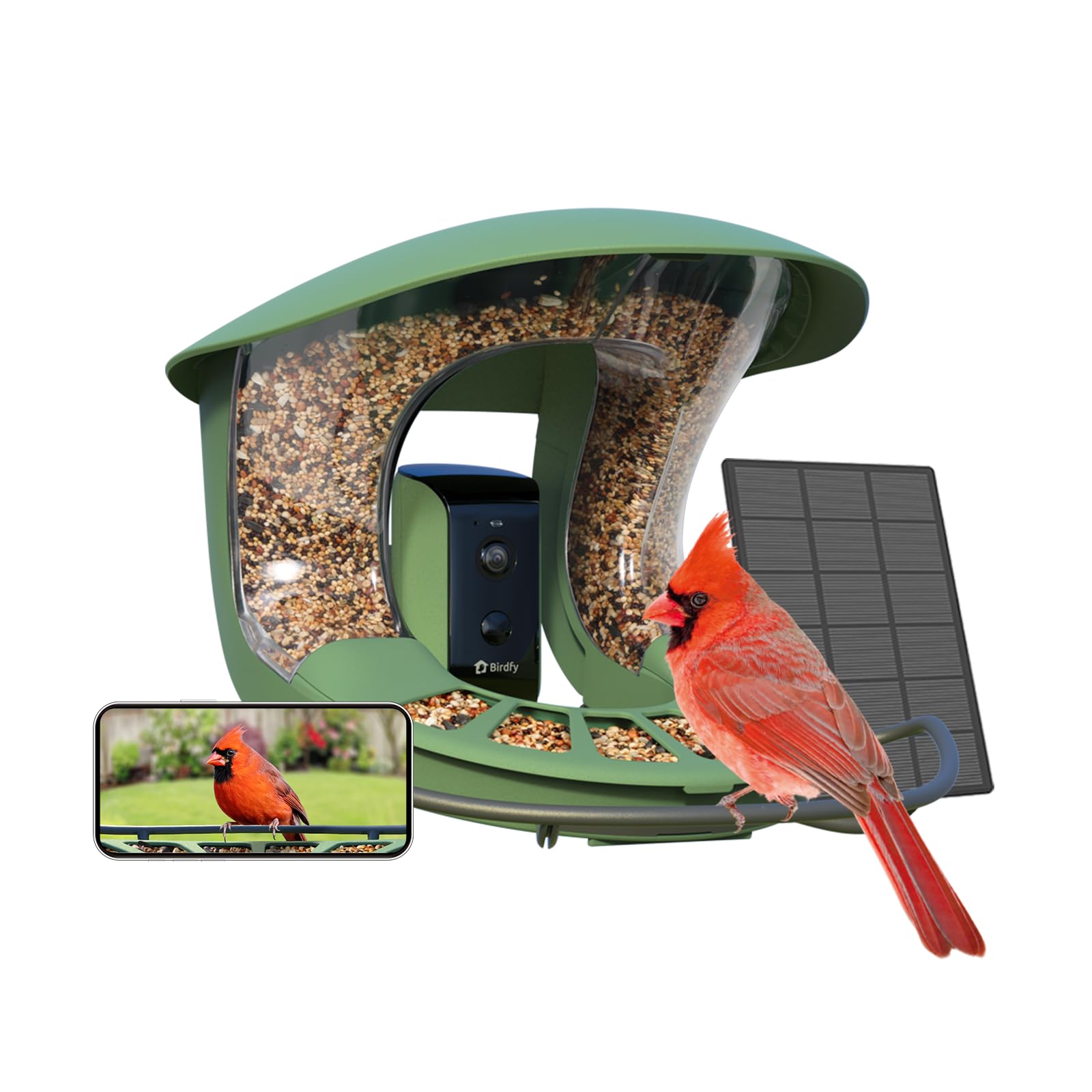 Birdfy 2 Smart Bird Feeder with Camera - Solar Powered Wireless Bird Watching Camera, Auto Video Capture & Motion Detection - Perfect Gift for Bird Lovers & Backyard Wildlife Observation
