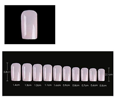 WOIWO 300PCS Fake Nail Patches - Natural French Press On Nails with Full Cover Tips | DIY Manicure Kit for Home, Salon & Party Use