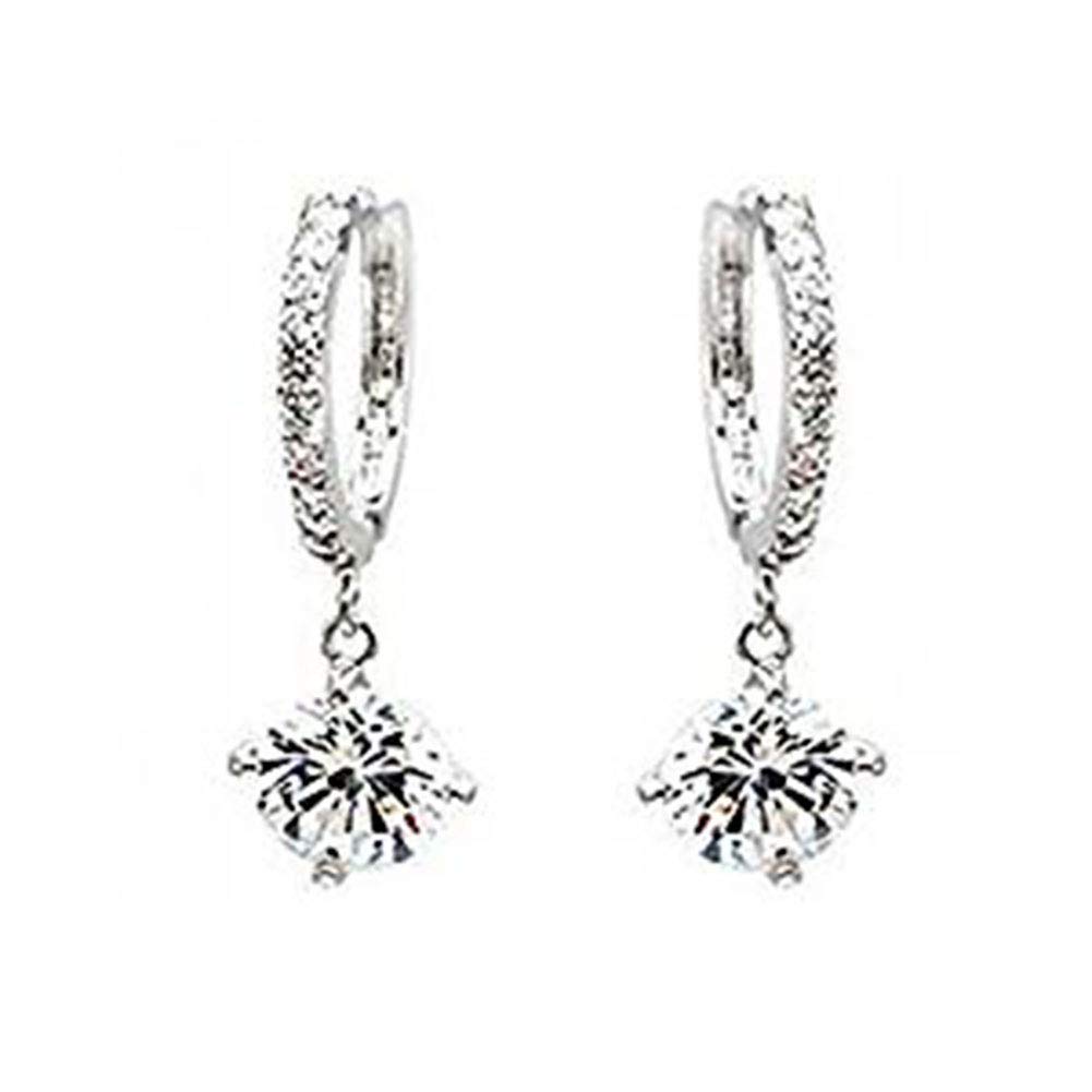 Elegant Crystal Rhinestone Silver Pet Memorial Urn Jewelry - Fashionable Keepsake for Dog & Cat Ashes - Romantic Shiny Earrings & Decorative Gift for Women - Perfect for Funerals, Memorials & Special Occasions (Color: Silver)