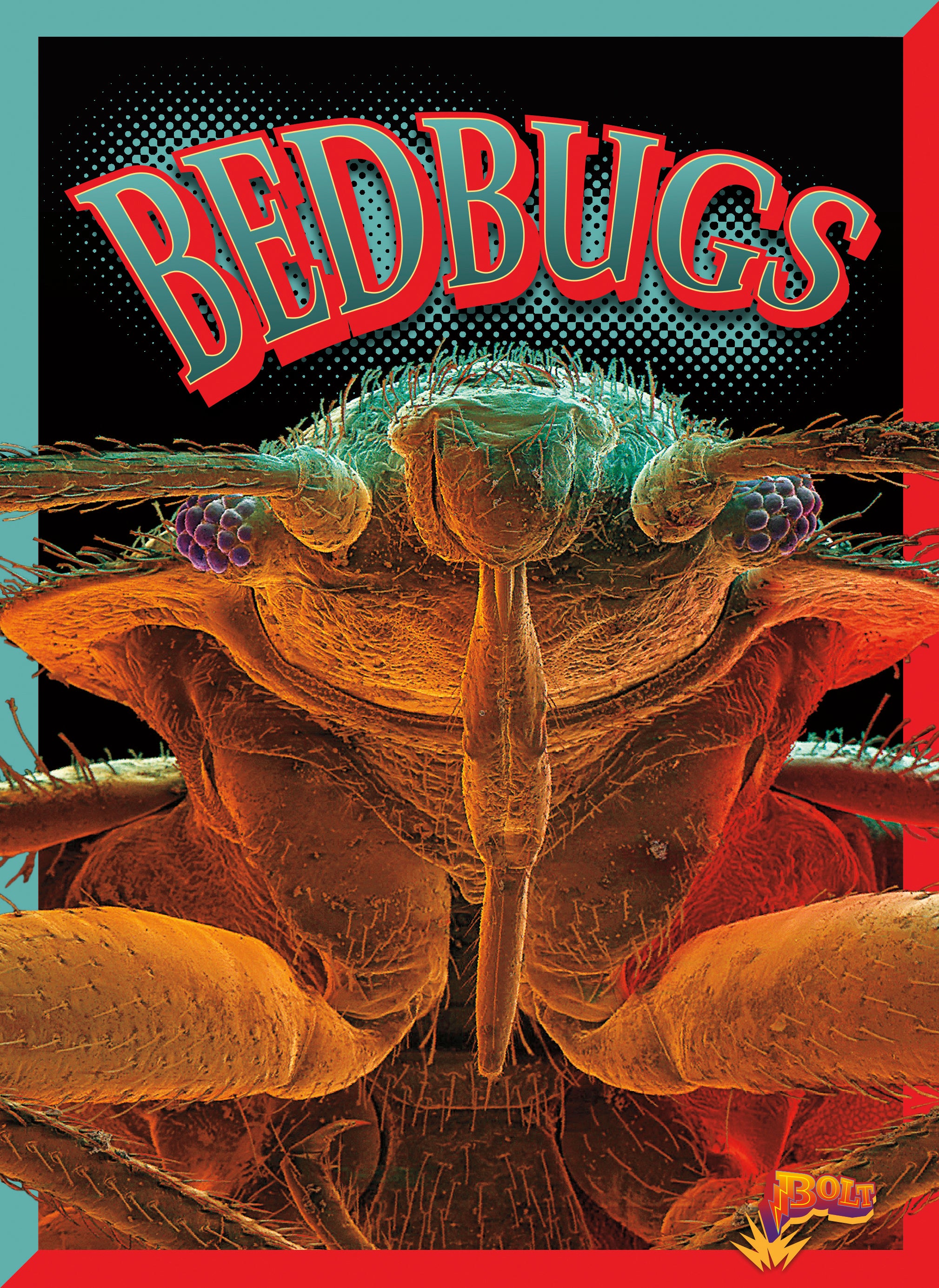 Bed Bugs: How to Get Rid of Disgusting Parasites - Home & Travel Protection Guide