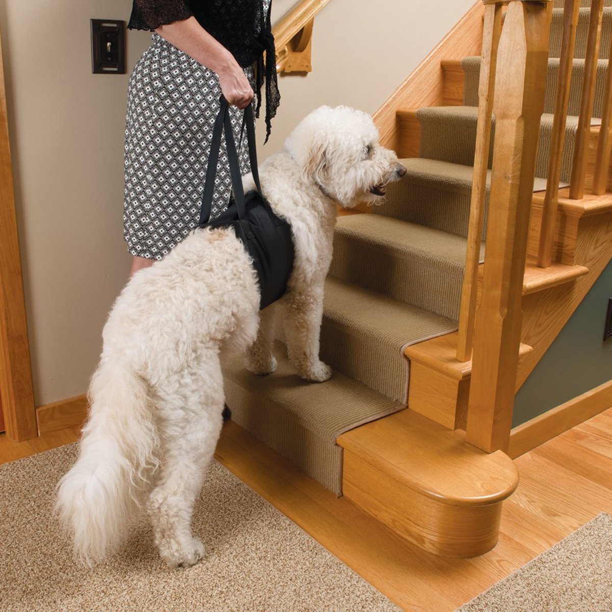 TEHAUX Large Dog Assist Harness with Bungee Leash - Adjustable Dog Lifting Sling for Medium to Large Dogs - Hind Leg Support & Traction Belt - Ideal for Mobility Assistance, Rehabilitation & Outdoor Adventures