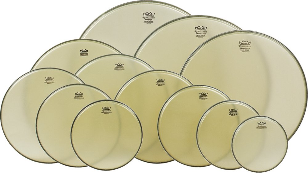 Remo Ambassador Renaissance Bass Drumhead 40 Inch - Premium Drum Skin for Professional Drummers - Perfect for Jazz, Orchestral, and Studio Recording Performances