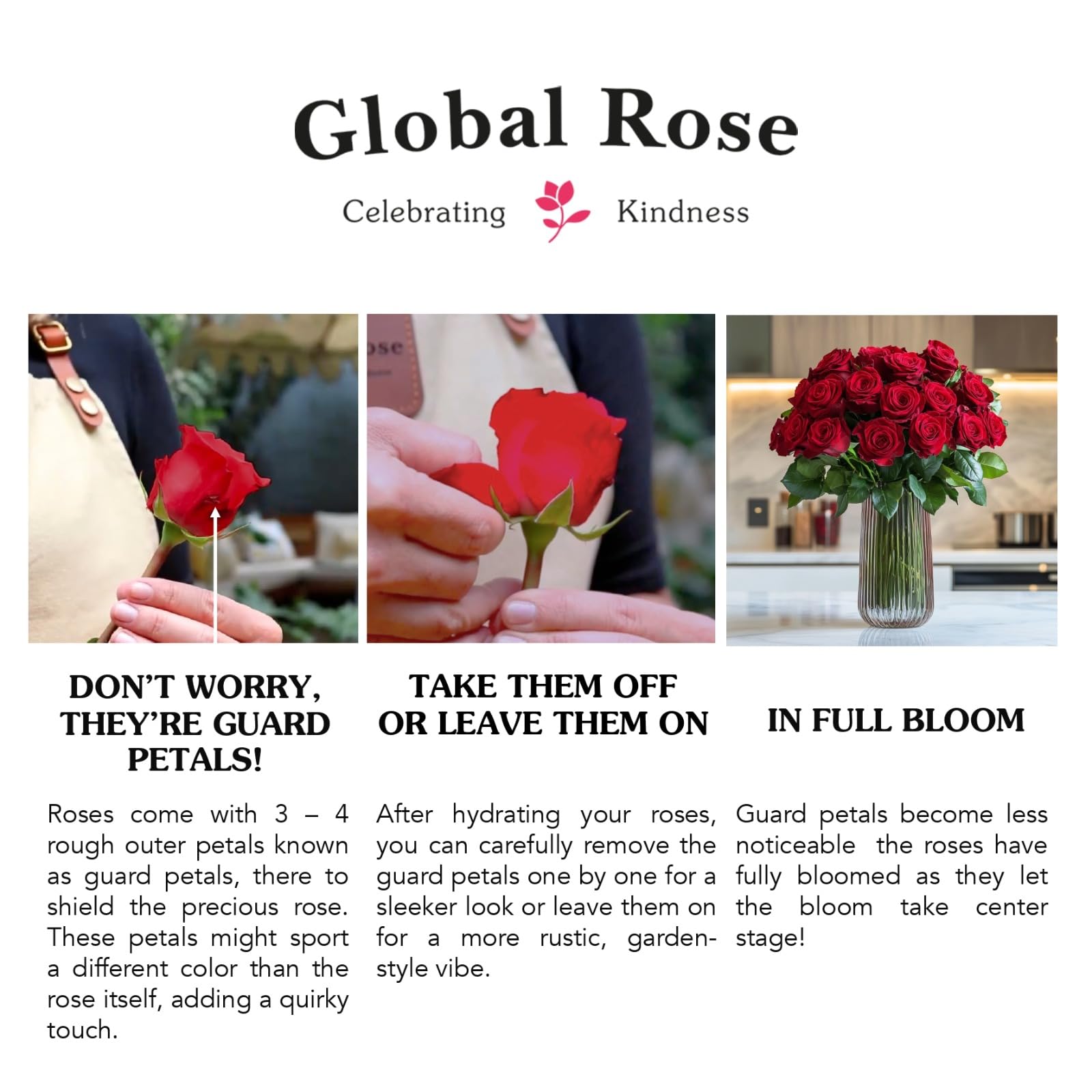 Fresh Pink Roses Bouquet - Dozen Long Stem Roses with Fillers for Mother's Day, Wedding, Anniversary, Birthday, Bridal Shower | Perfect Floral Gift & Home Decor Centerpiece