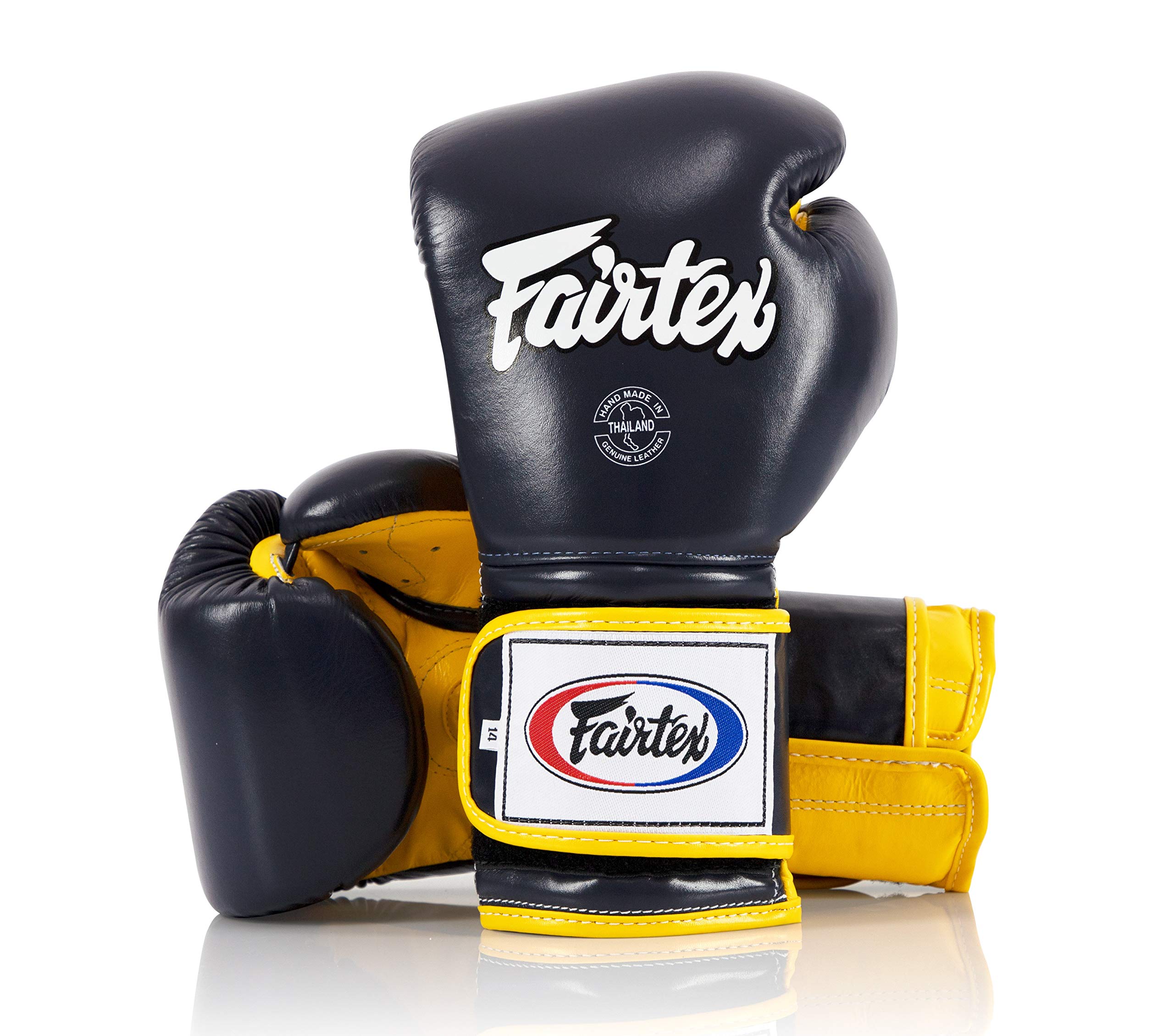 Fairtex BGV9 Muay Thai Boxing Gloves for Professionals & Trainers - Mexican Style MMA Gloves for Heavy Hitters | Lightweight, Shock-Absorbent Martial Arts Gloves | Perfect for Sparring, Bag Work & Competition Training