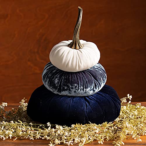 Ivory, Indigo, Navy