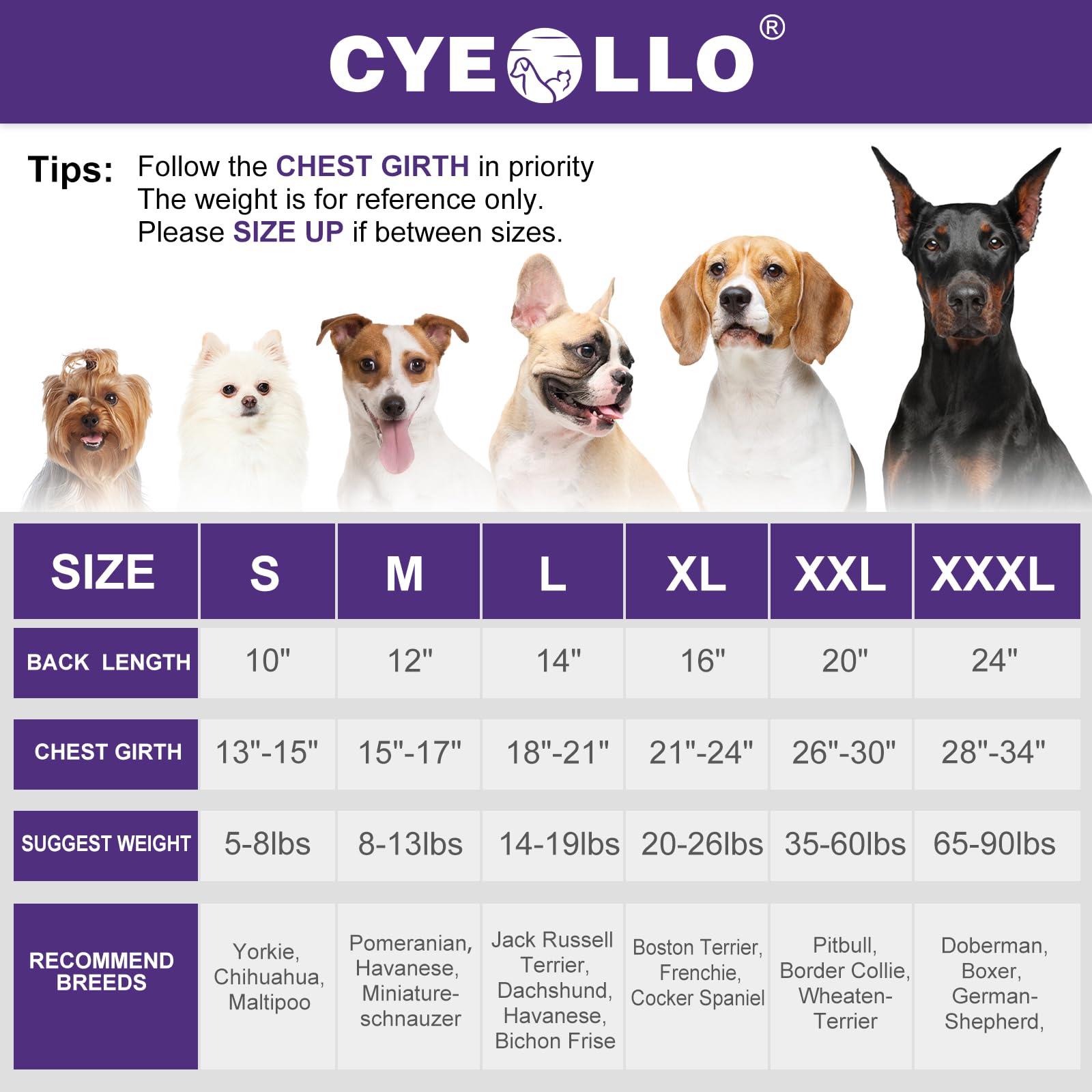 Cyeollo Fleece Dog Sweater Jacket with Reflective Strips & D-Ring - Step-in Zipper Design for Small Dogs (Grey) - Perfect for Winter Walks & Outdoor Adventures