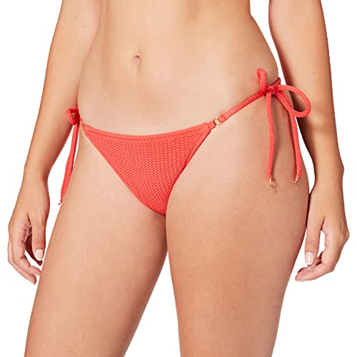 Sea Dive Fiesta Coral