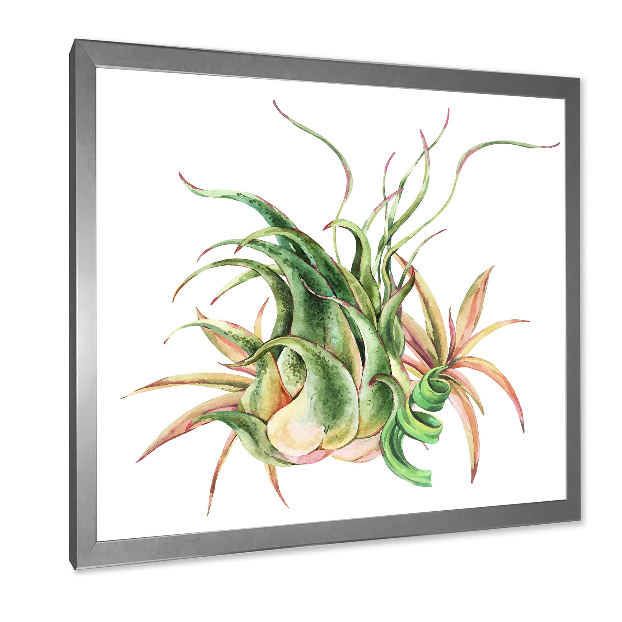 DesignQ Tropical Leaves Air Plant Succulent Farmhouse Framed Wall Art - Boho Home Decor for Living Room, Bedroom & Office