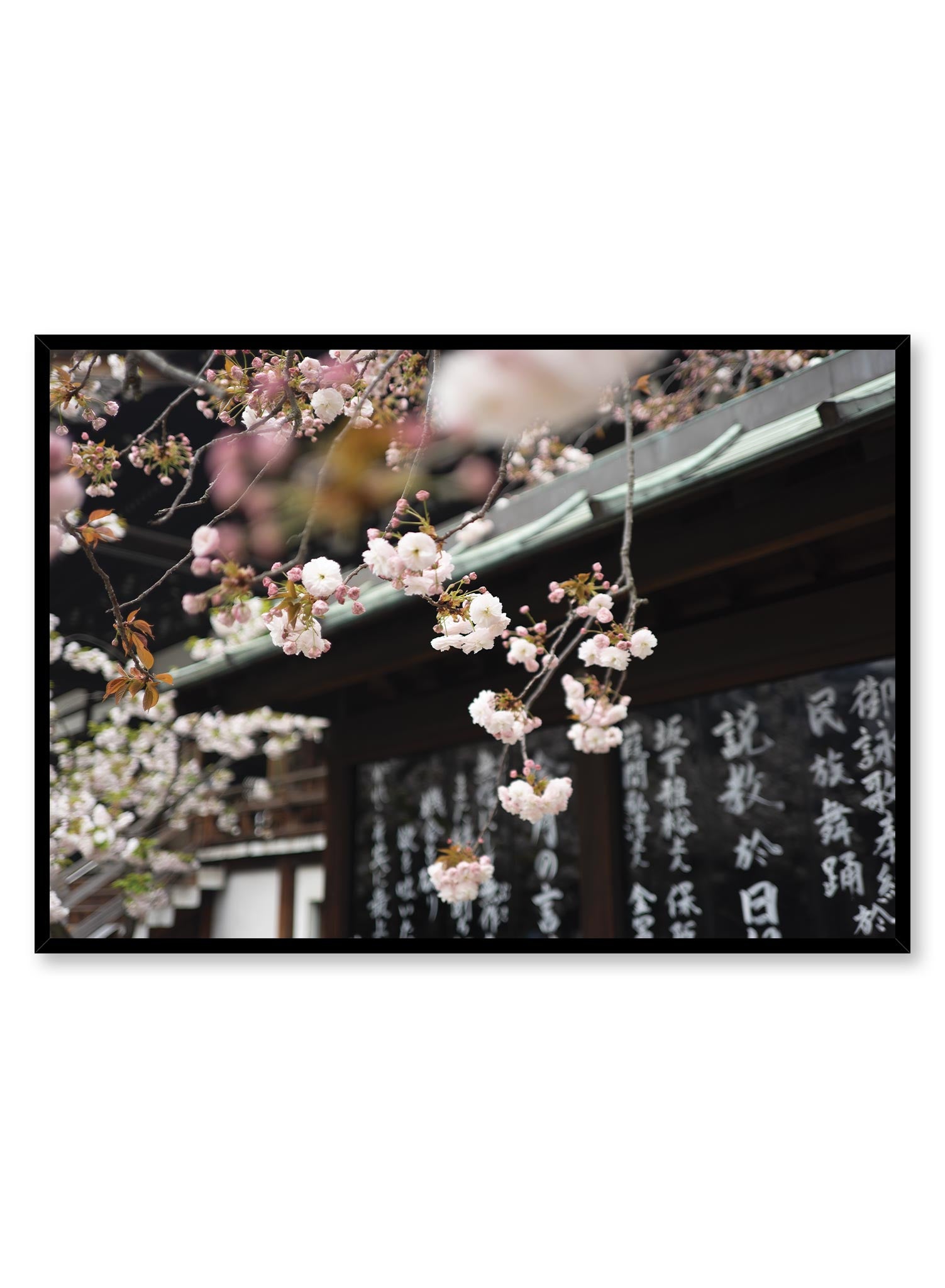 Japanese Cherry Blossom Wall Art Poster - Vintage Floral Decor for Home, Office & Gifts | Perfect for Spring Decor, Living Room Aesthetic & Japanese Culture Enthusiasts