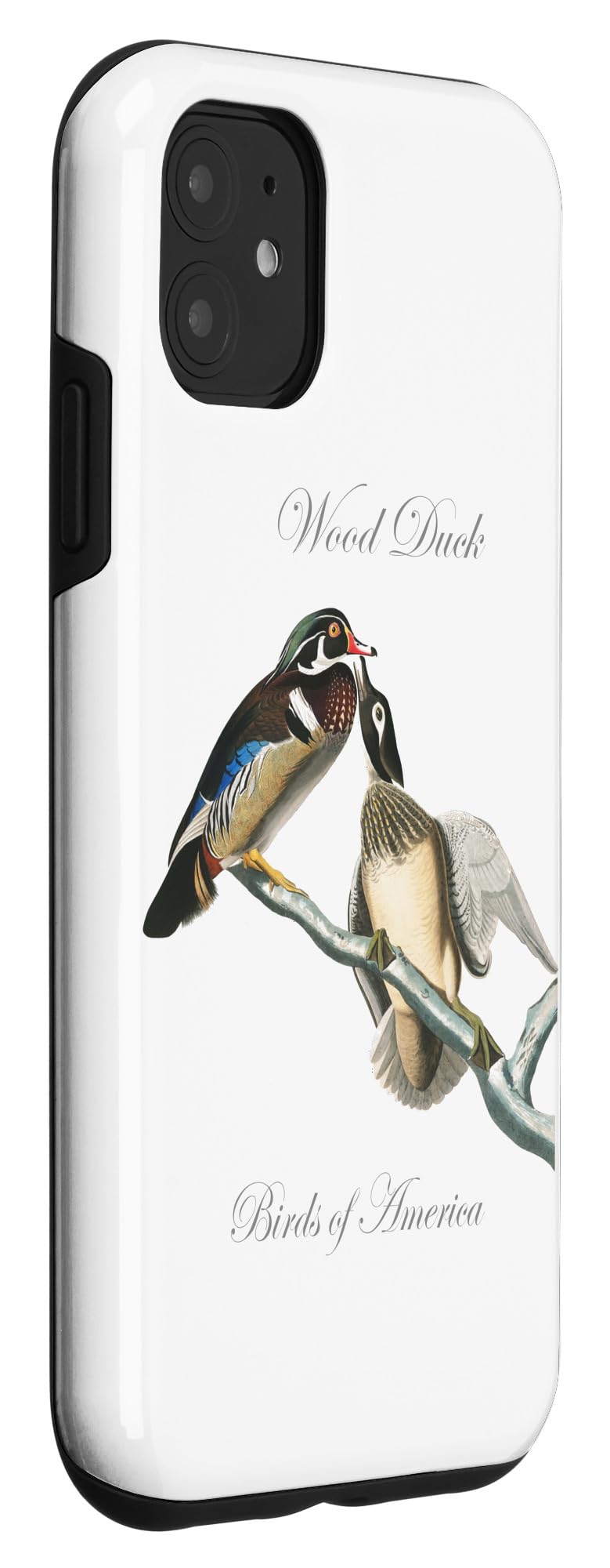 Premium iPhone 11 Wood Duck Case - Birds of America Series | Durable Protective Cover with Artistic Design | Perfect for Nature Lovers & Outdoor Enthusiasts