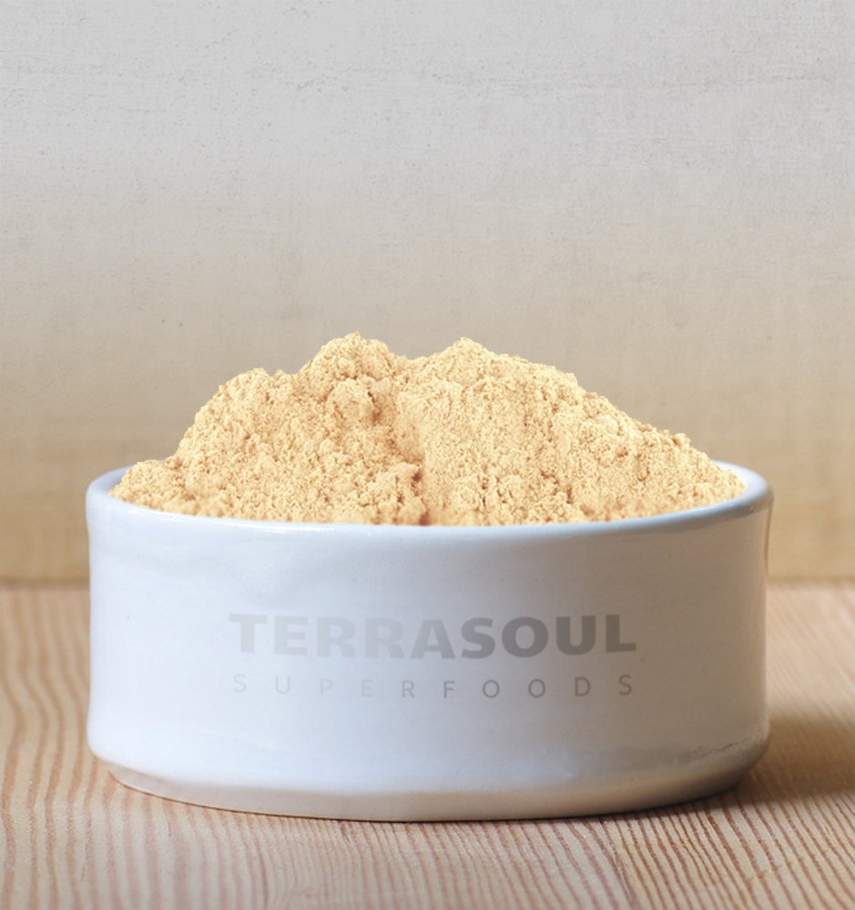 Terrasoul Superfoods Organic Gelatinized Maca Powder 16oz | Peruvian Maca Root for Hormone Balance & Energy Boost | Easy Digestion Superfood for Smoothies, Coffee & Baking | Vegan & Gluten-Free Supplement