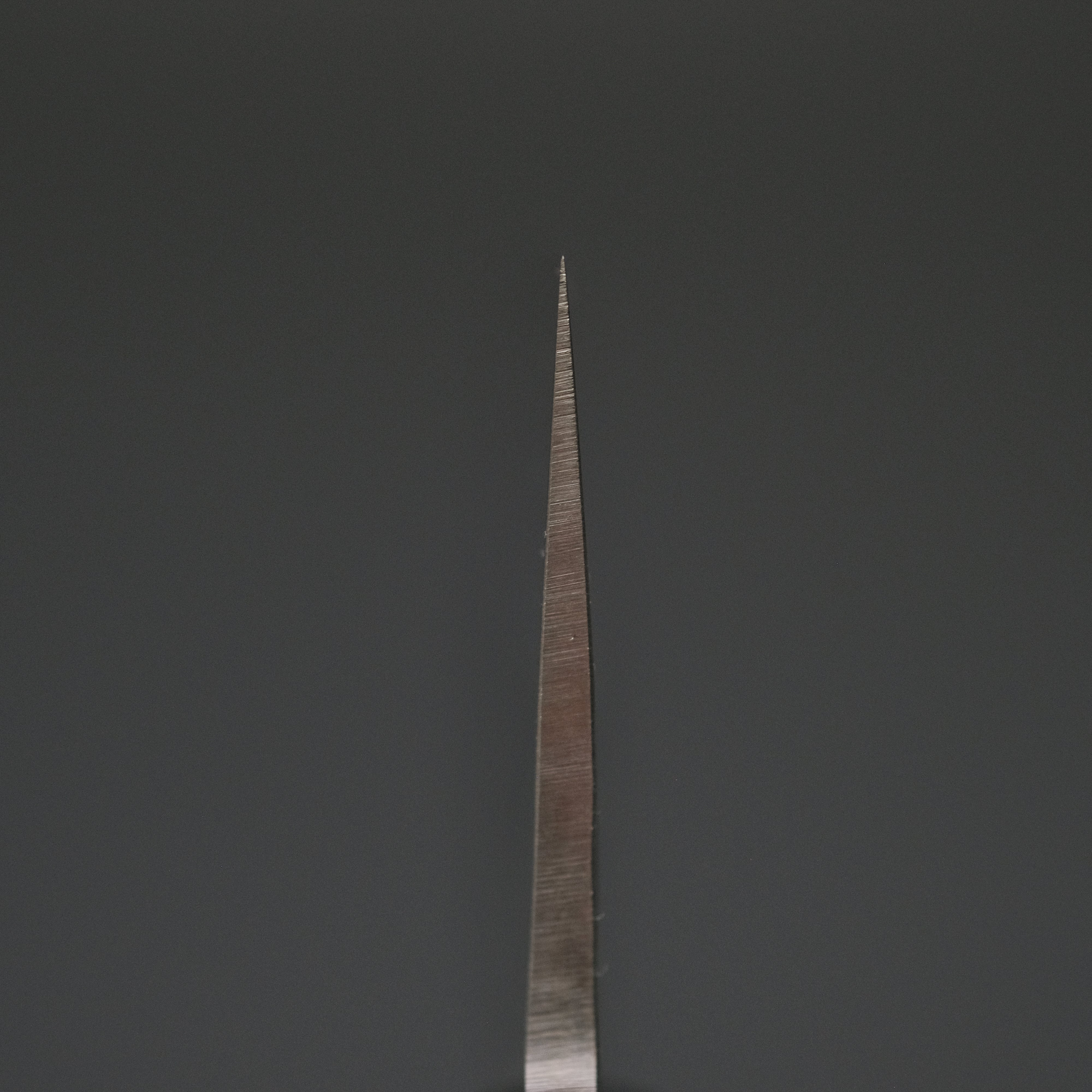 Ohishi SLD Tsuchime Gyuto 240mm Japanese Chef Knife - High Carbon Steel Blade with Rosewood Handle - Perfect for Sushi, Meat Cutting & Professional Kitchen Use