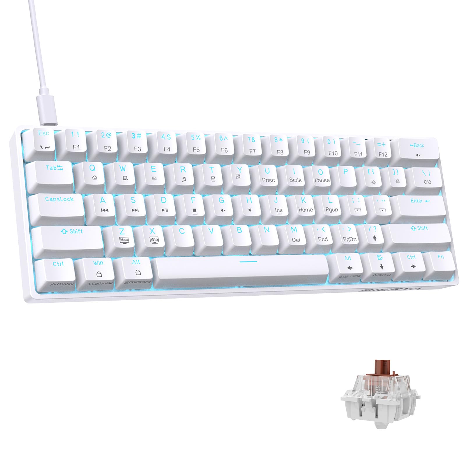 DIERYA DK61SE 60% Compact Mechanical Gaming Keyboard - 61 Keys with Anti-Ghosting, RGB Backlight, USB-C Detachable Cable - Tactile Brown Switches for PC, Laptop, Mac - Perfect for Gaming, Typing & Office Work