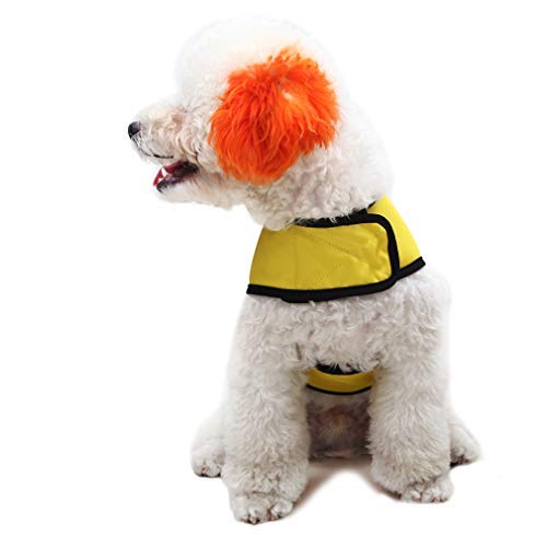 Calming Anxiety Vest for Small Dogs - Thunder Shirt with D-Ring & Training Handle - Reduce Stress During Storms, Fireworks & Travel - Perfect for Nervous Pets