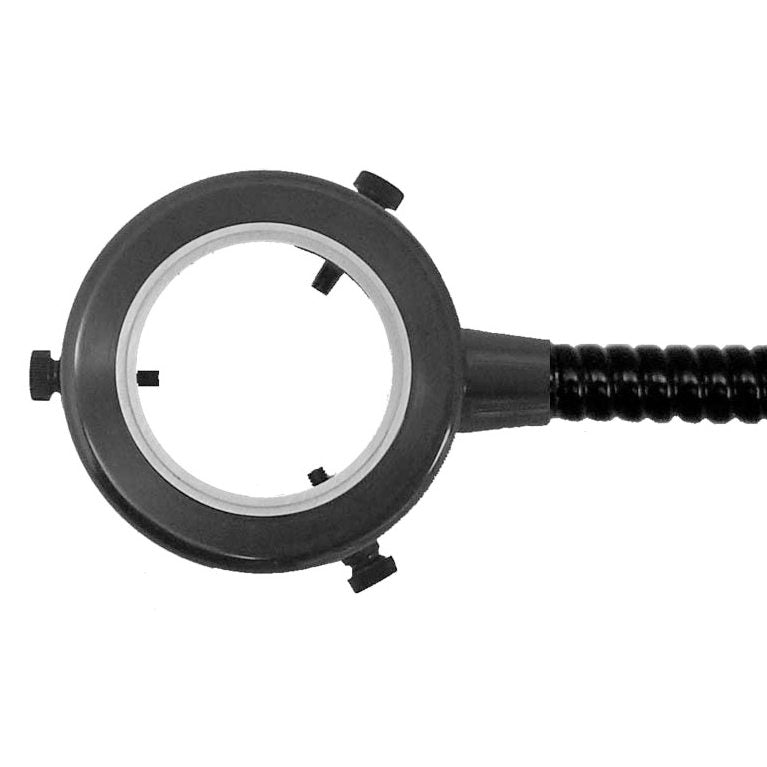 Professional Fiber Optic Ring Light for Photography, Makeup, Live Streaming - Perfect for YouTube, TikTok, Instagram Videos & Selfies