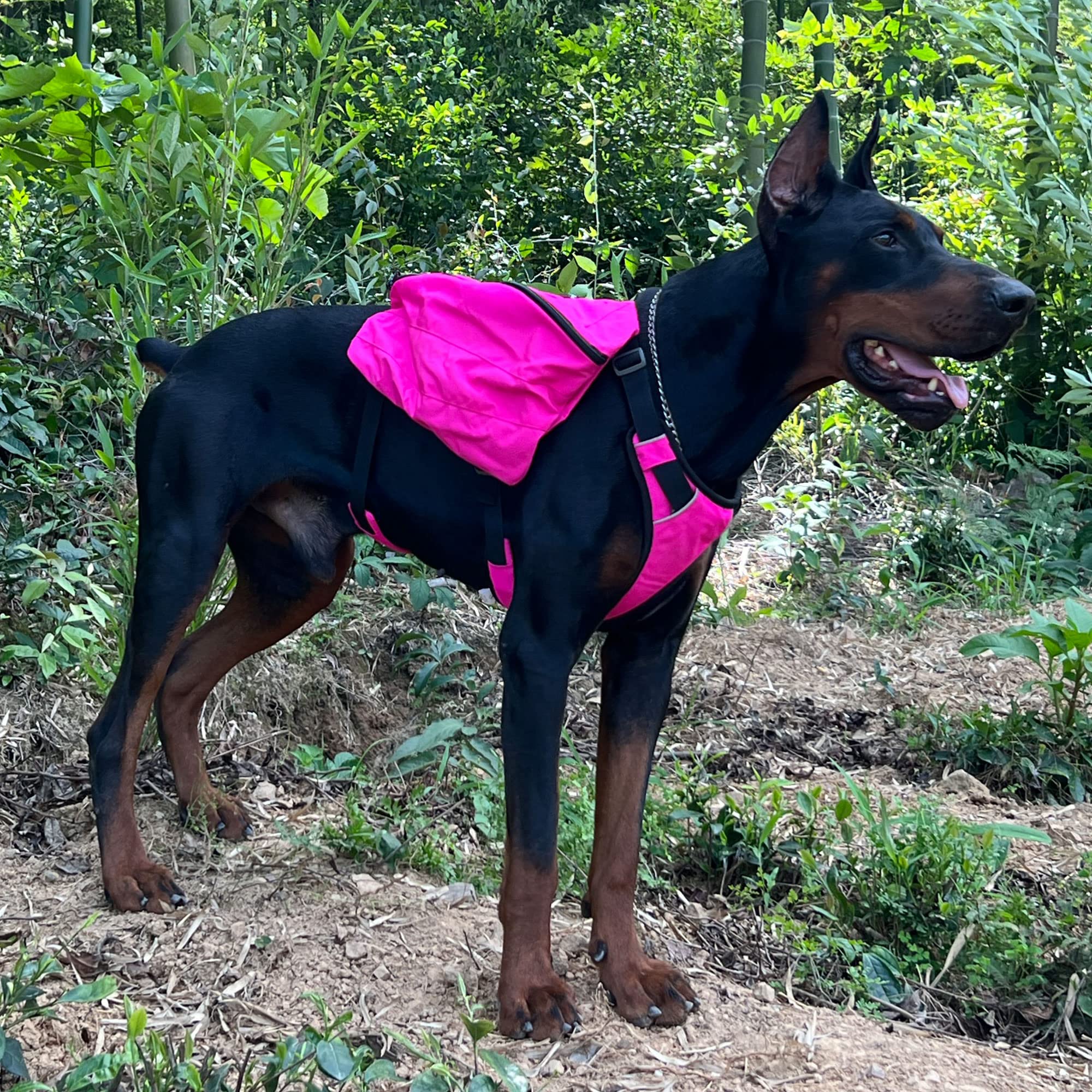 **Waterproof Dog Backpack for Hiking & Travel - Multifunctional Pet Carrier with 2 Spacious Side Pockets - Adjustable Outdoor Saddle Bag for Small, Medium & Large Dogs (Rose Red) - Perfect for Camping, Walks & Adventures**