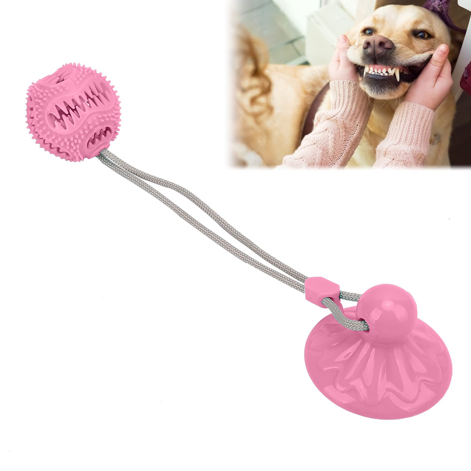 01 Dog Rope Ball Toy with Bell - Interactive Chew Toy for Small & Medium Dogs, Snack Dispenser & Suction Cup for Indoor/Outdoor Play - Fun Training & Dental Health Toy for Puppies (Pink)