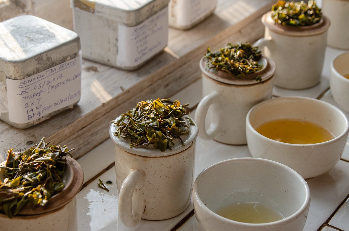 Premium 2025 First Flush Darjeeling Tea - Fresh Himalayan Black Tea Loose Leaf - Perfect for Morning Brew & Afternoon Relaxation