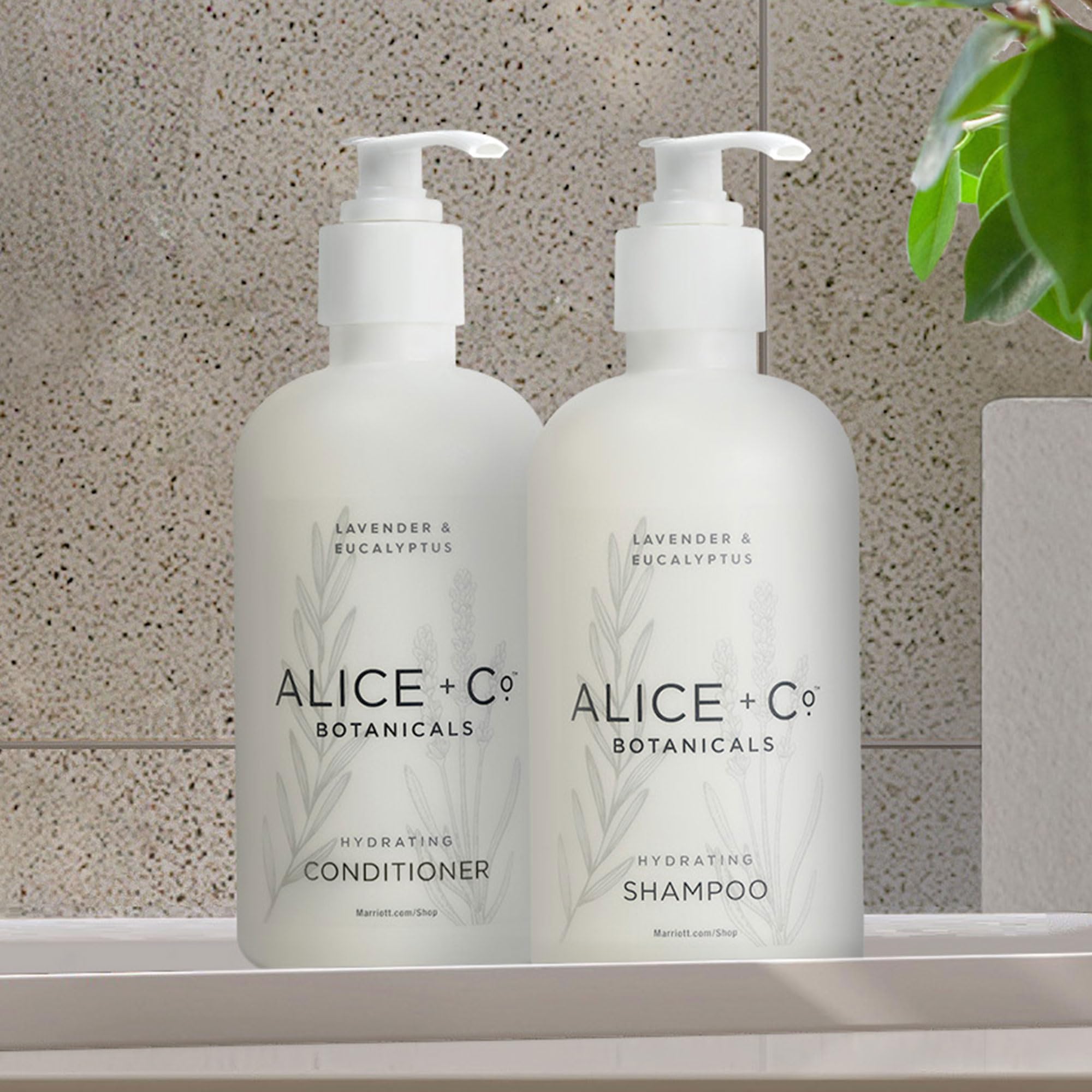 Fairfield by Marriott Hotel Bath Amenities Set - Lavender & Eucalyptus Shampoo, Conditioner, Body Wash & Lotion (8.5 oz) - Travel Size Hair & Body Care Kit for Hotels, Gyms & On-the-Go Use