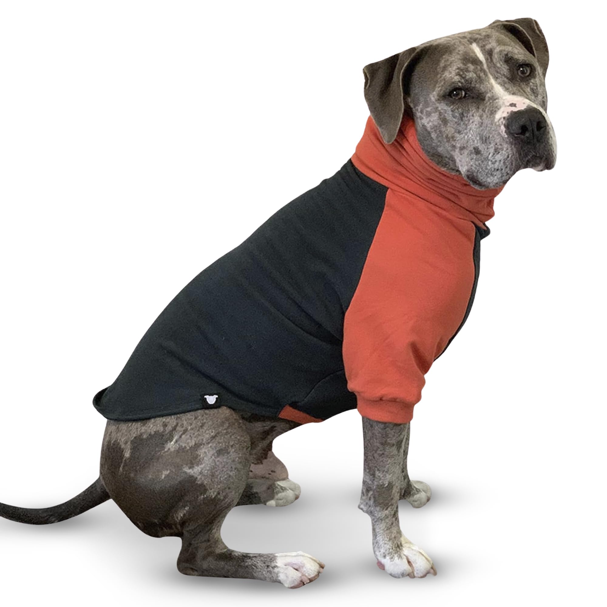 Pitbull Large Dog Sweater - Dark Green & Orange Warm Dog Sweatshirt for Cold Weather - Cozy Winter Apparel for Big Dogs - Perfect for Outdoor Walks & Indoor Lounging