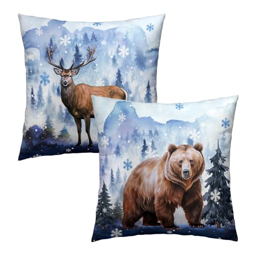 Winter Moose Bear