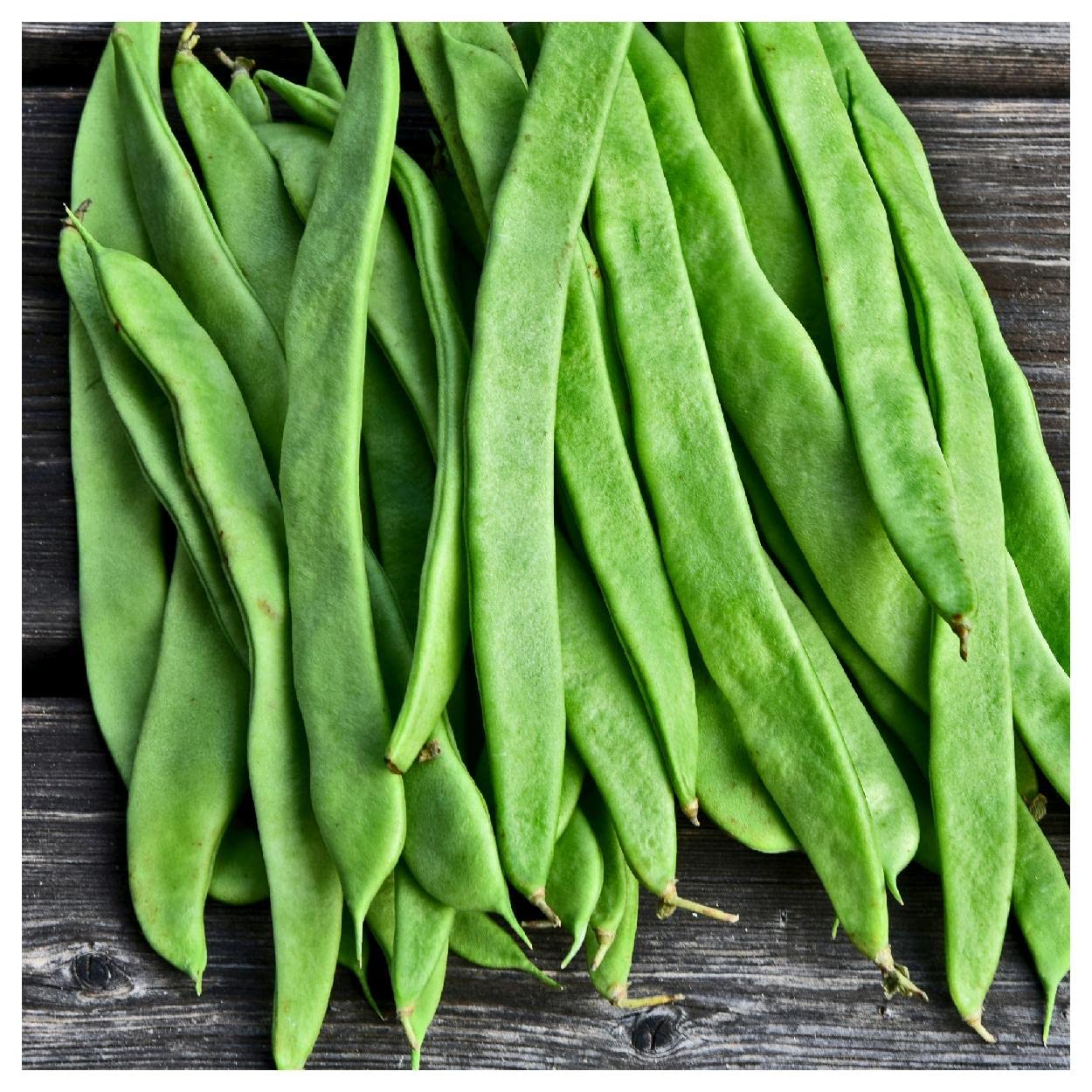 Everwilde Farms – 1/4 Lb Roma II Green Bean Seeds - Non-GMO, Heirloom, Gold Vault Bulk Pack - Perfect for Home Gardening, Vegetable Patches & Sustainable Farming