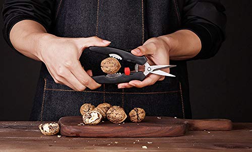 Premium Stainless Steel Seafood Scissors & Lobster Forks Set (8PCS) - Heavy Duty Crab Shell Crackers, Shrimp Scissors for Seafood Lovers - Perfect for Crab Legs, Lobster Tails, Shellfish & Seafood Parties