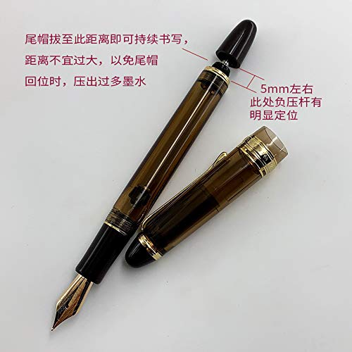 14K Fine Nib Fountain Pen - Brown Translucent Acrylic for Writing & Calligraphy