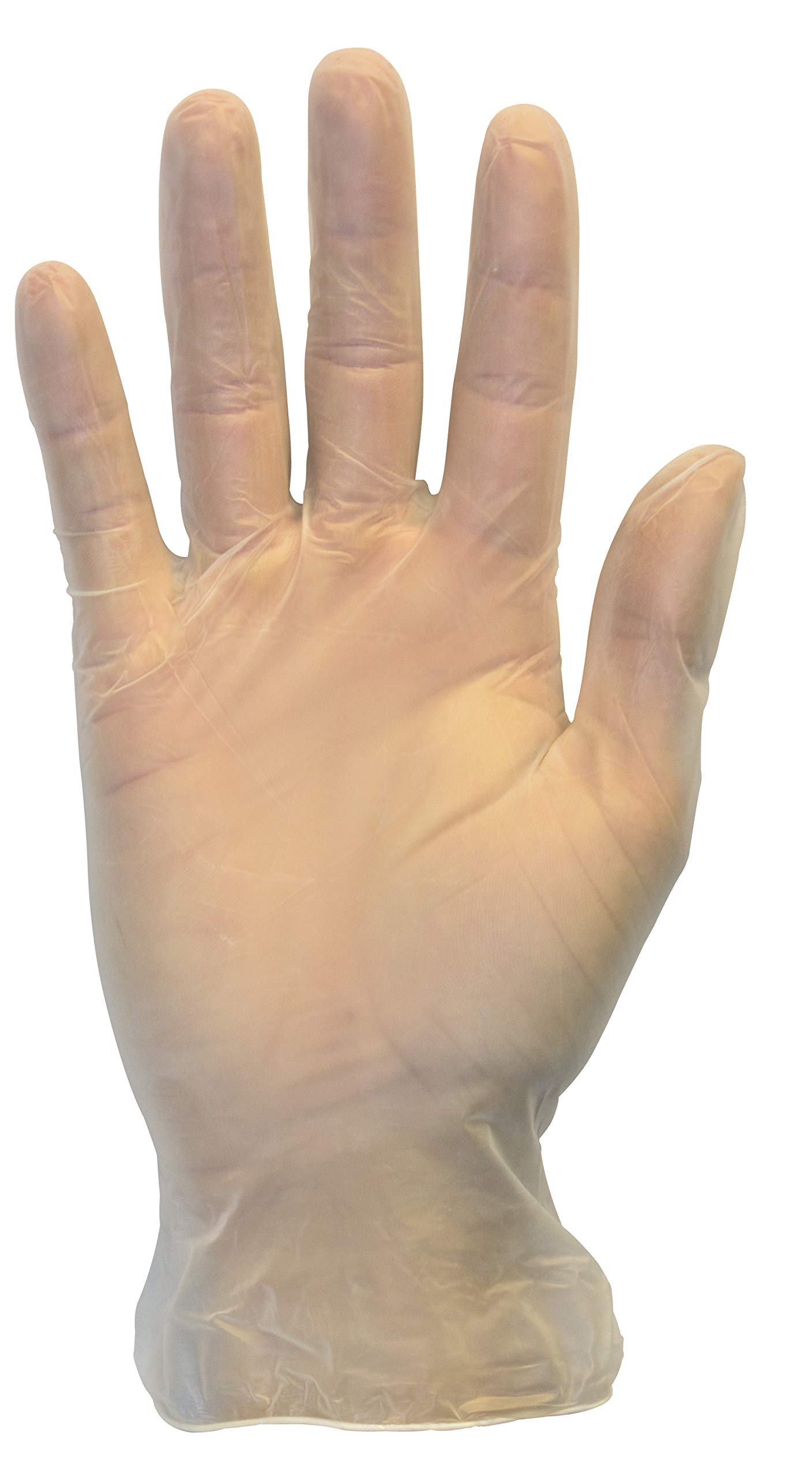 **Powder-Free Disposable Vinyl Gloves - Latex-Free, Hypoallergenic, Clear Plastic Gloves for Work, Food Service & Cleaning - Extra Large Size (1000 Pack) - Ideal for Restaurants, Hospitals & Home Use**