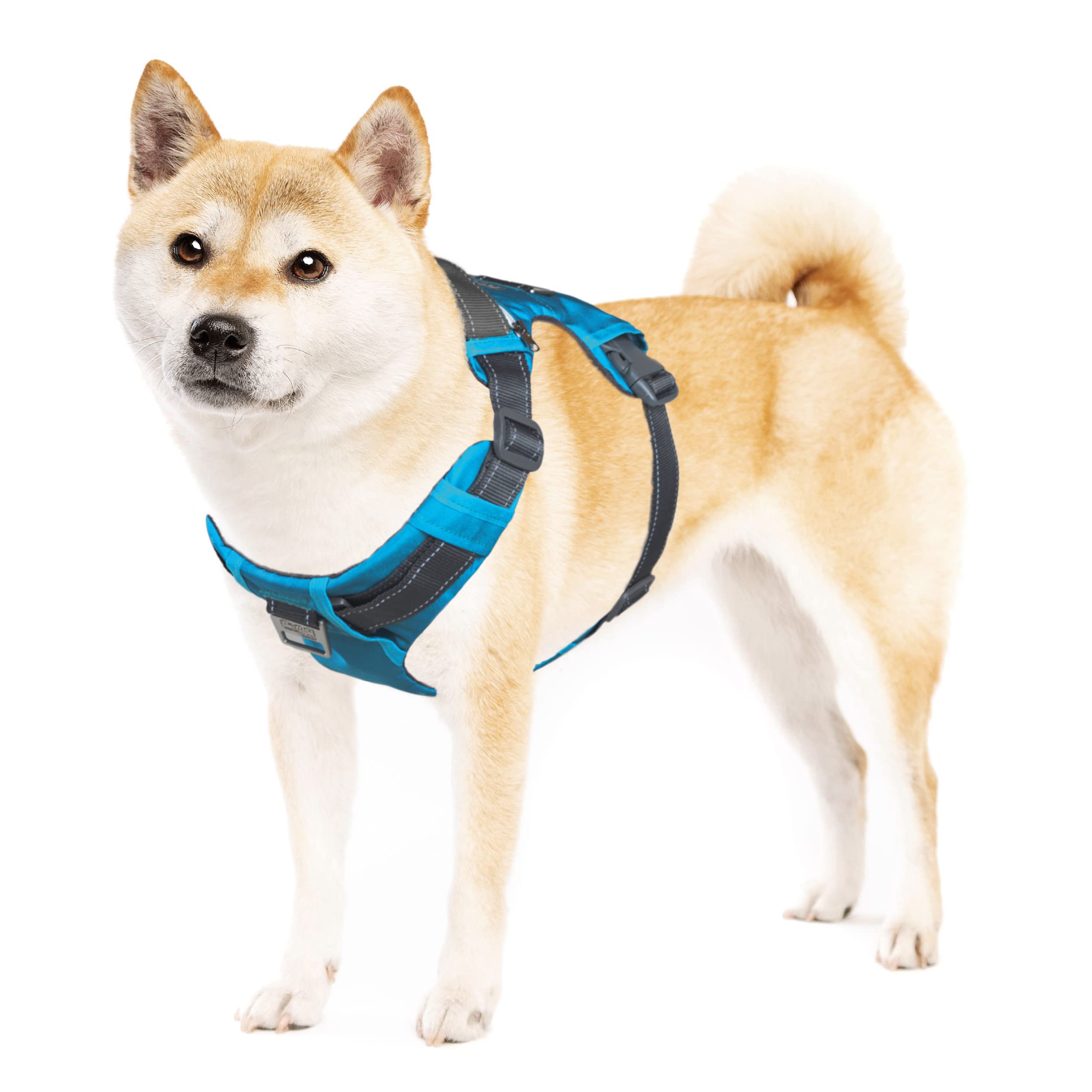 Outward Hound Boulder Adventure Adjustable Dog Harness with Pockets - Turquoise Medium | Durable Pet Walking Gear for Hiking, Running & Outdoor Activities