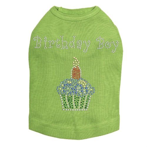 Birthday Boy Rhinestone Tank Top for Men - Sparkling Party Outfit in Multiple Colors - Perfect for Birthday Celebrations, Bachelorette Parties & Festive Events