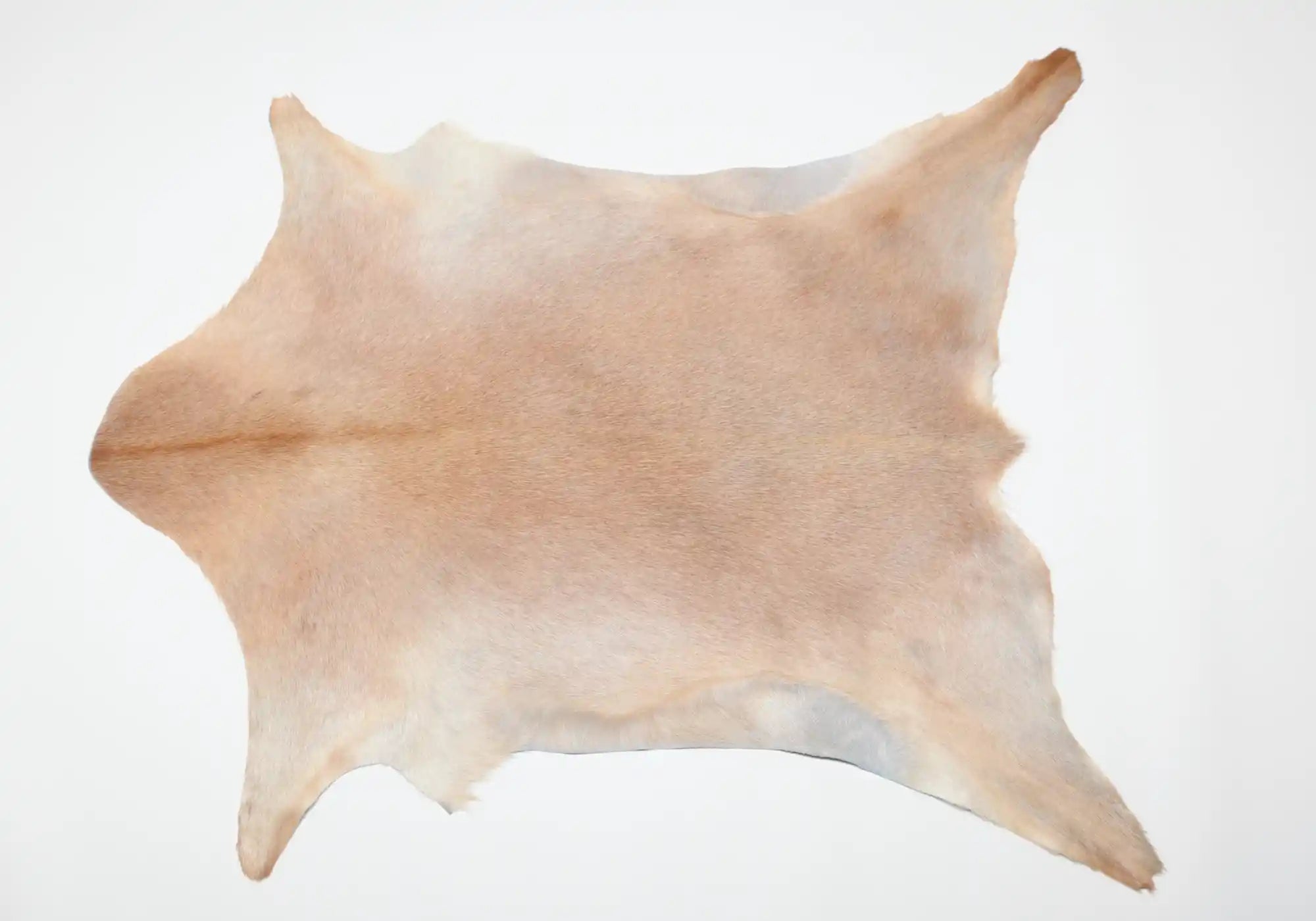 Premium 037 Natural Goat Leather in Light Beige Tan - Soft & Durable for Handbags, Wallets & DIY Craft Projects