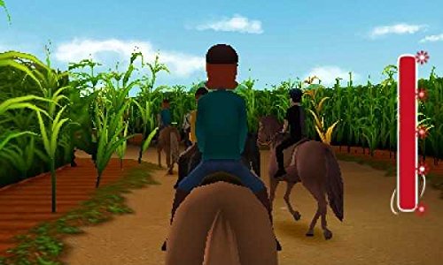 Bibi & Tina - The Official Movie Game for Nintendo 3DS | Adventure Game for Kids & Teens | Perfect for Family Game Night & Travel Entertainment