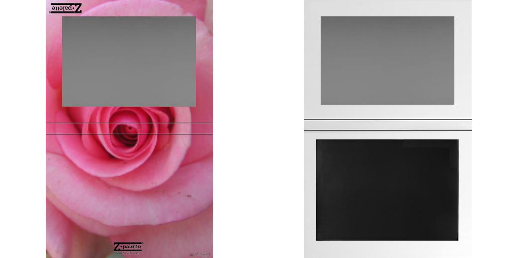 Custom Extra Large Magnetic Z Palette for Makeup Artists - Perfect for Organizing Eyeshadows, Blushes & Cosmetics On the Go