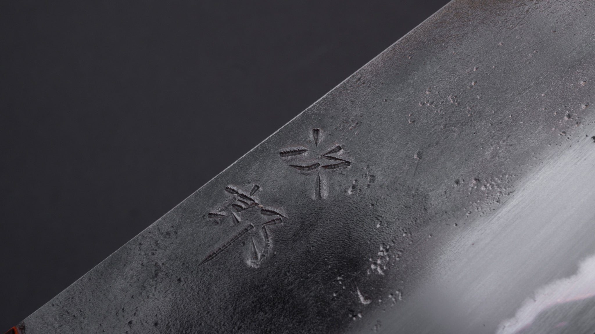 Premium Jiro Tsuchime Yo Gyuto 210mm Japanese Chef Knife with Tagayasan Handle - Perfect for Sushi, Meat Cutting & Professional Kitchen Use
