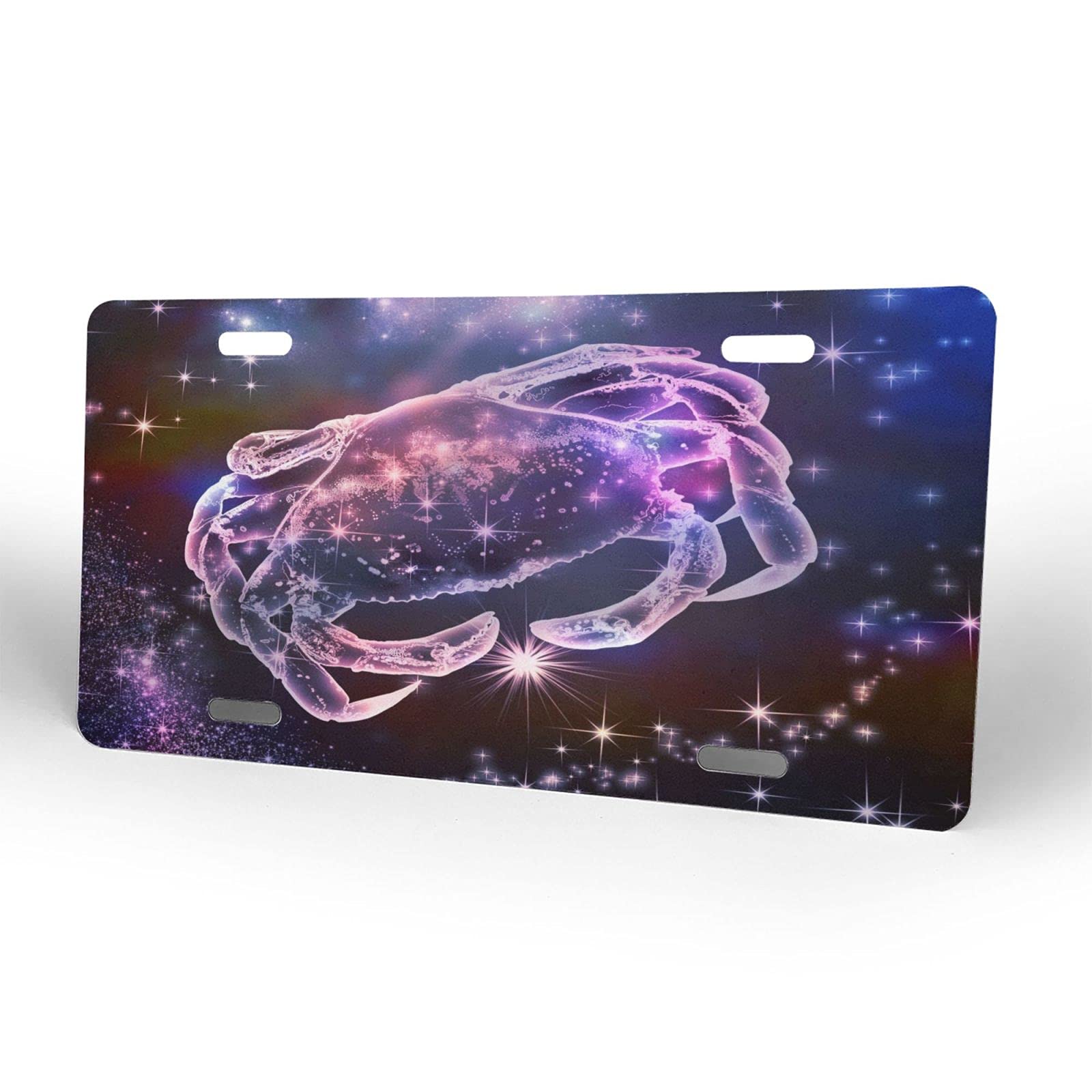 Custom Delerain Aluminum Vanity License Plate - 6x12 Inch Cancer Awareness Car Front Plate for Men, Women, Boys & Girls | Perfect for Personalization, Car Decor, and Supporting Cancer Causes